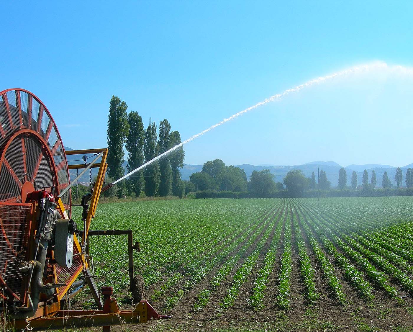 Organic Farm - Umbria