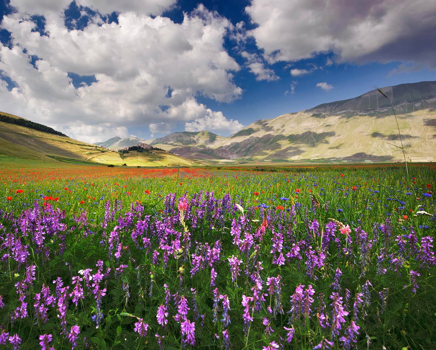 Natura e parchi in Umbria