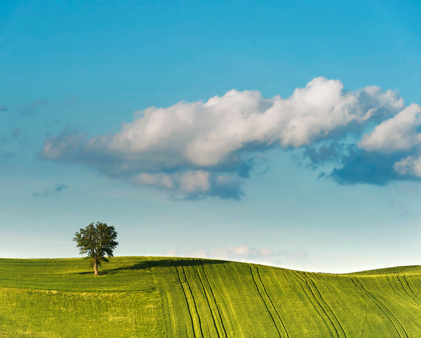 Natura e parchi in Umbria